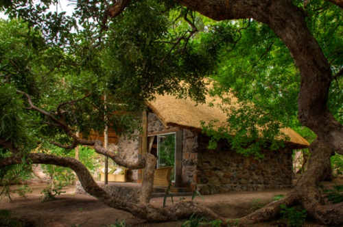Thamalakane River Lodge 003